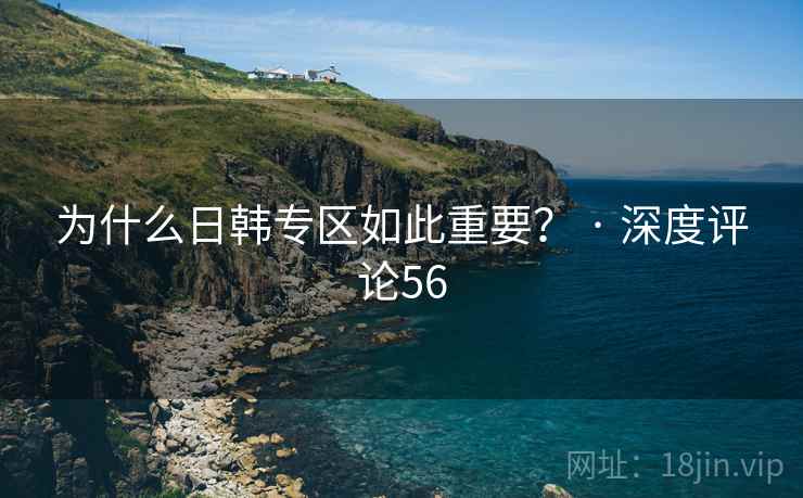 为什么日韩专区如此重要？ · 深度评论56