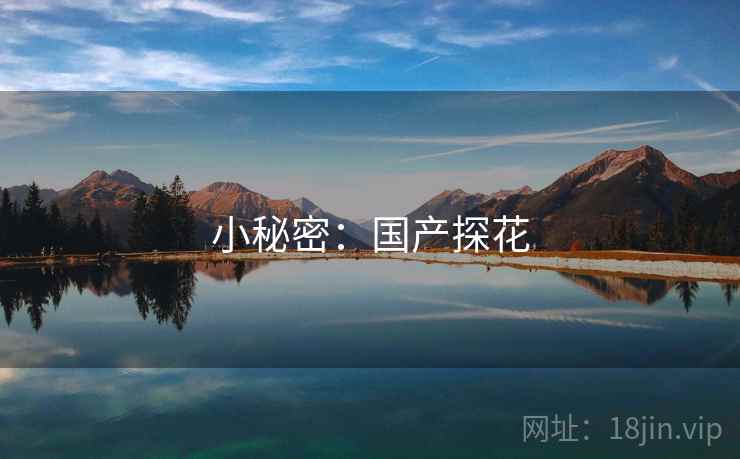 小秘密：国产探花