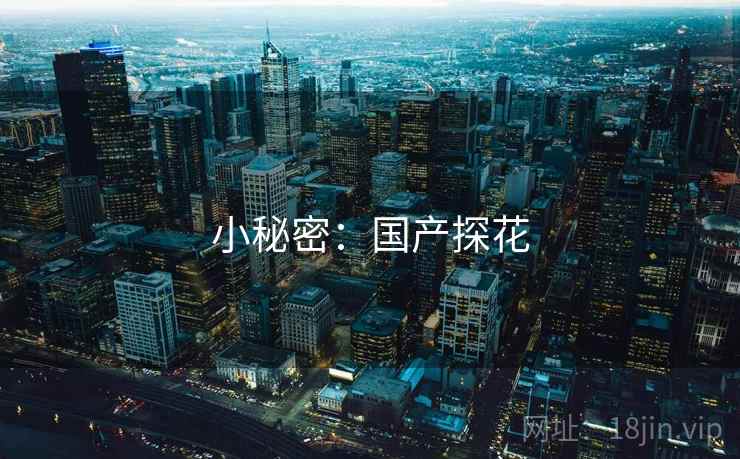 小秘密：国产探花