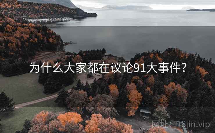 为什么大家都在议论91大事件？
