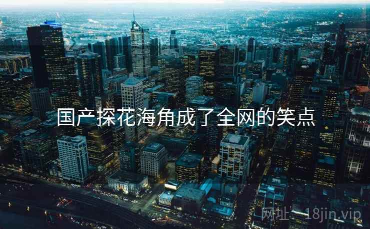 国产探花海角成了全网的笑点