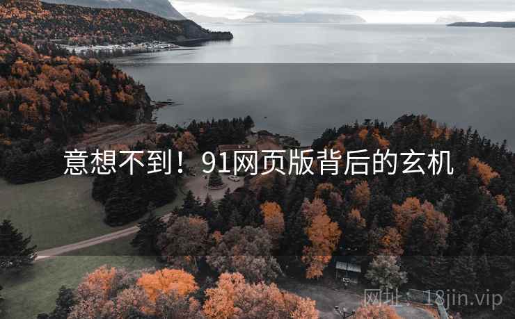 意想不到！91网页版背后的玄机