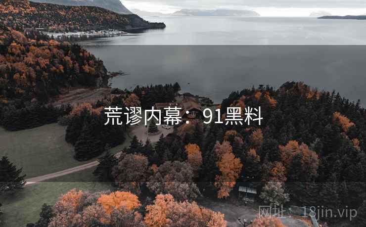 荒谬内幕：91黑料