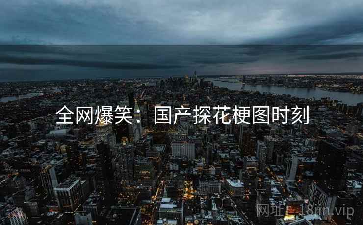 全网爆笑：国产探花梗图时刻