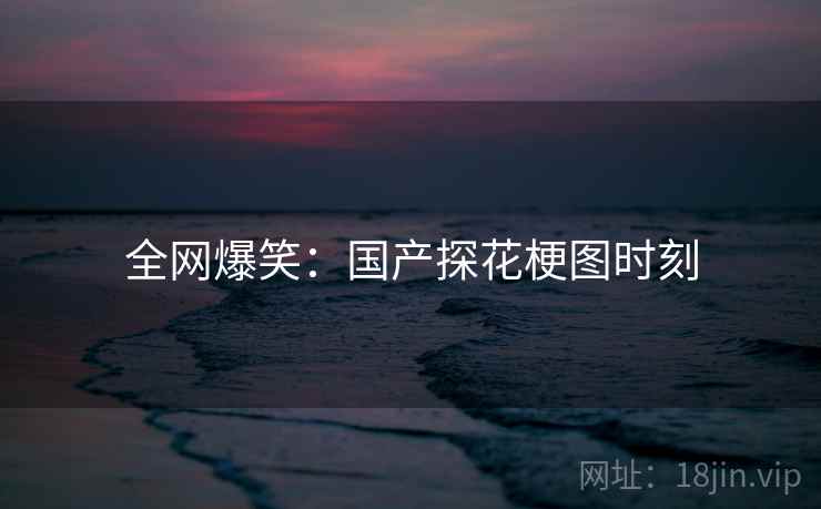 全网爆笑：国产探花梗图时刻