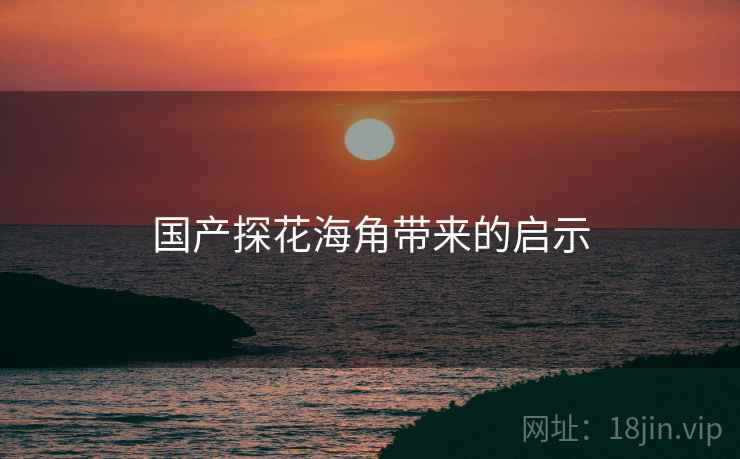 国产探花海角带来的启示