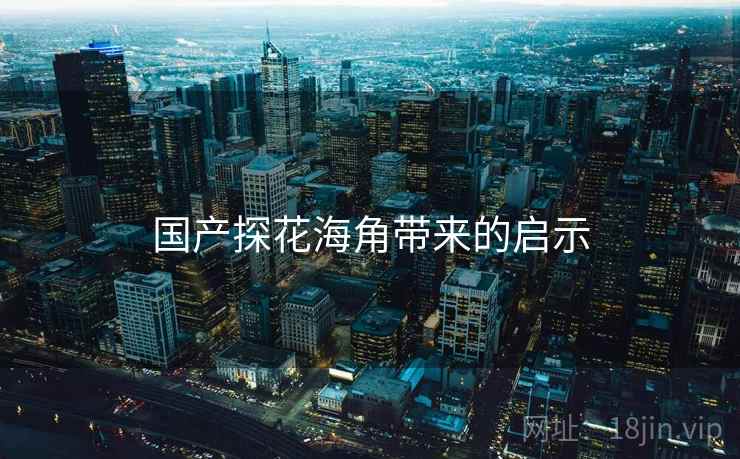 国产探花海角带来的启示