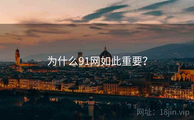 为什么91网如此重要? 为什么91网如此重要?