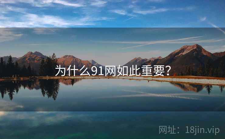 为什么91网如此重要? 为什么91网如此重要?