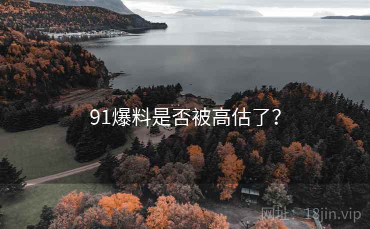 91爆料是否被高估了? 91爆料是否被高估了?