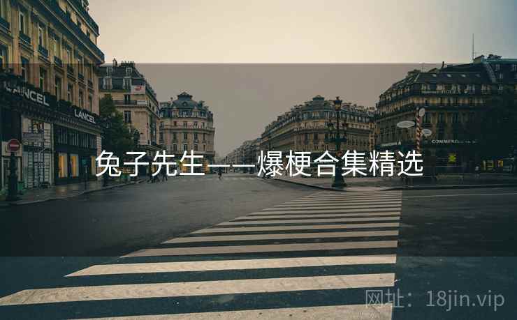 兔子先生——爆梗合集精选 兔子先生——爆梗合集精选