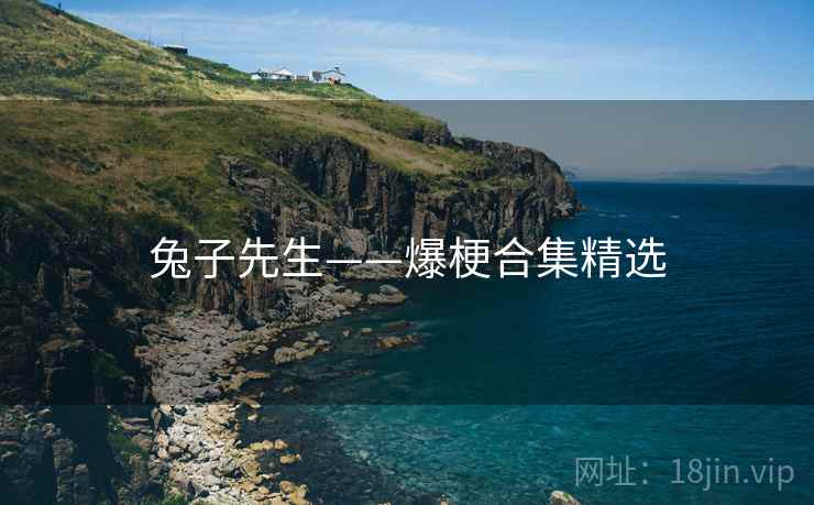 兔子先生——爆梗合集精选 兔子先生——爆梗合集精选