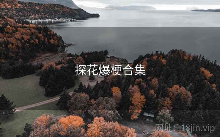 探花爆梗合集